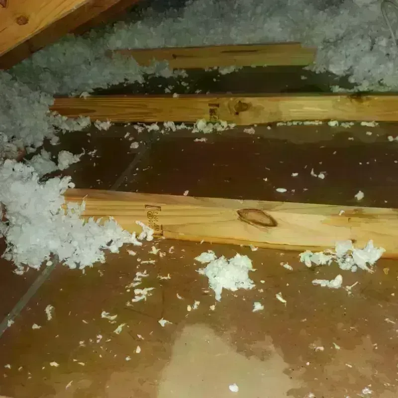 Attic Water Damage in Saukville, WI